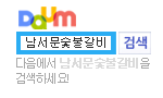 https://www.daum.net/